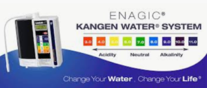 kangen water distributor